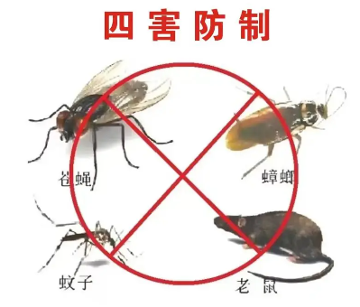 床墊易滋生吸血臭蟲，怎樣預(yù)防呢？